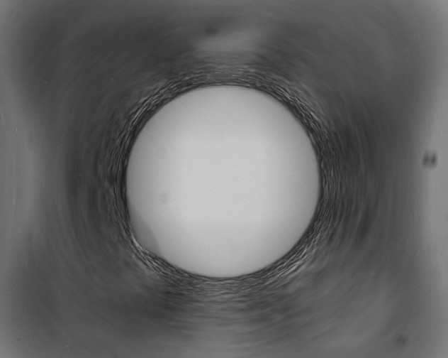 X0000101481441200807071232