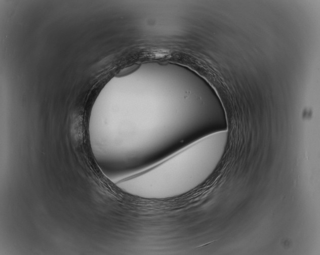X0000101481442200807071232