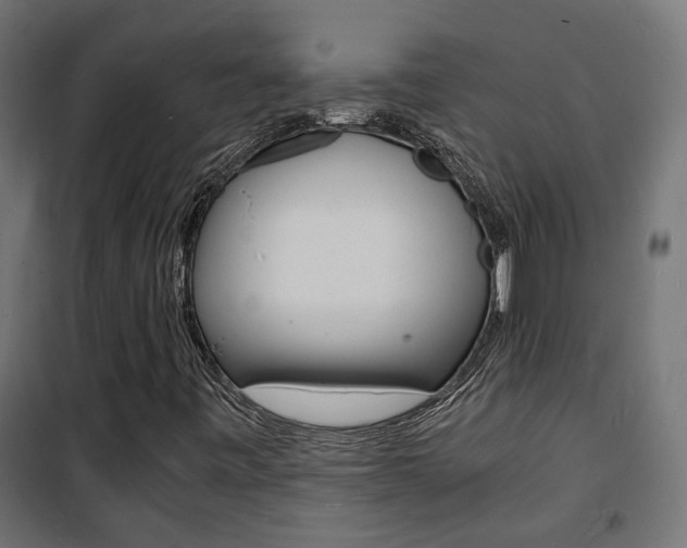 X0000101481443200807071232