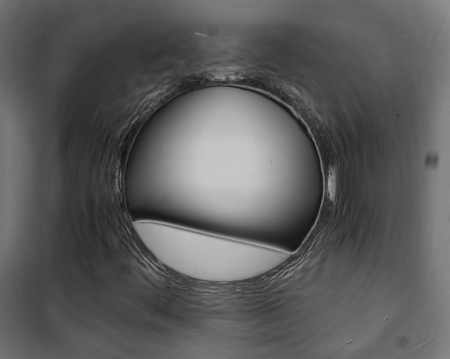 X0000101481444200807071231