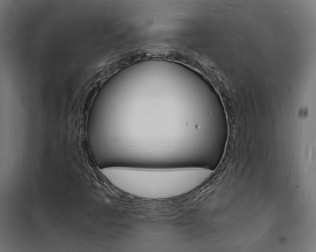 X0000101481445200807071231