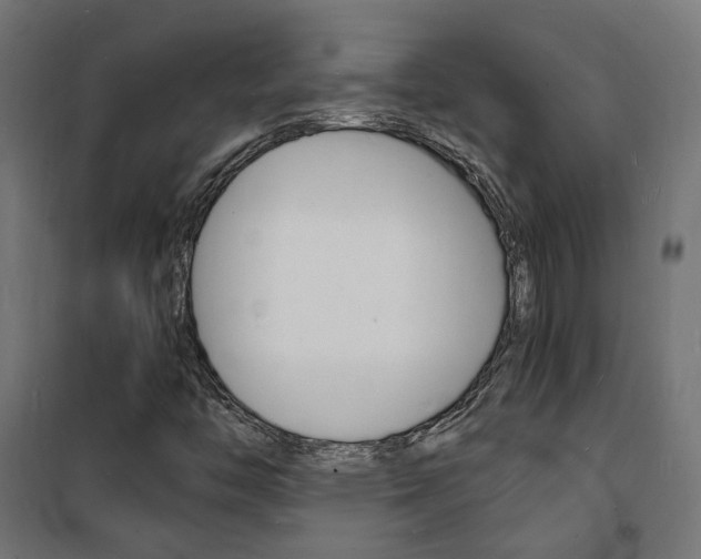X0000101481446200807071231