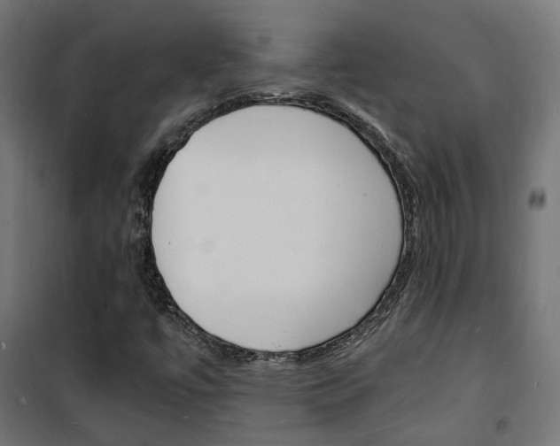 X0000101481447200807071231