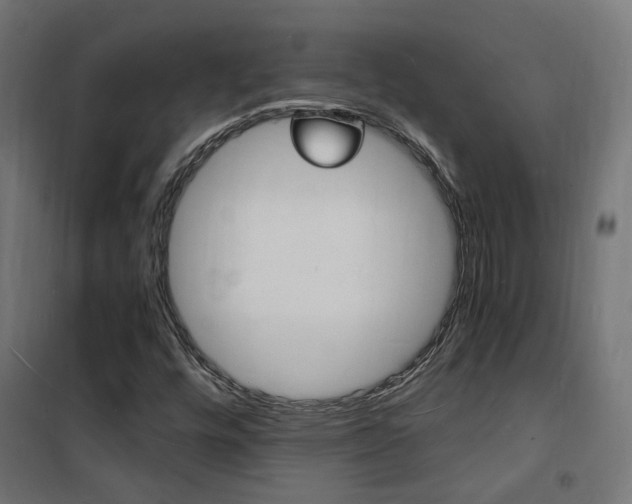X0000101481448200807071231