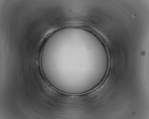 X0000101481451200807071231