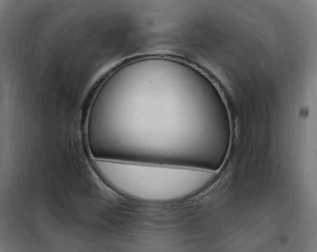 X0000101481452200807071231