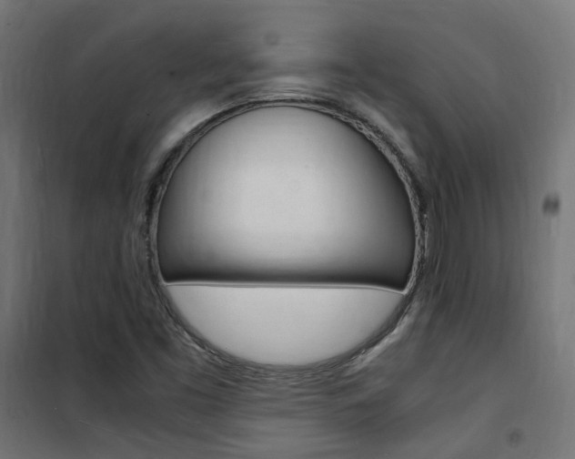 X0000101481453200807071231