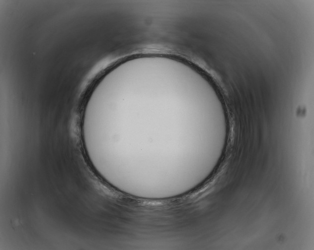 X0000101481454200807071231