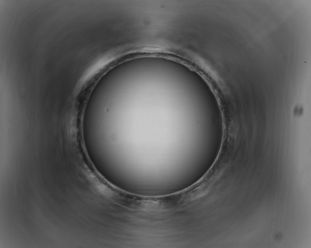 X0000101481456200807071231