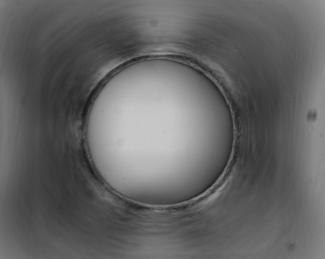 X0000101481457200807071231