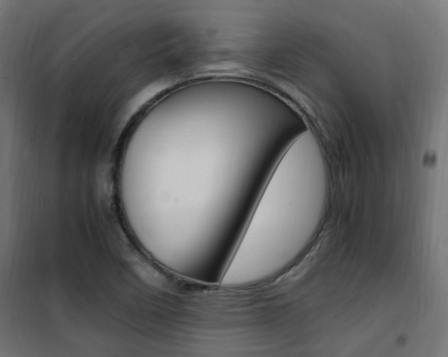 X0000101481458200807071231