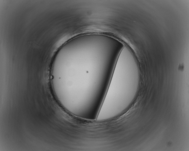 X0000101481459200807071231