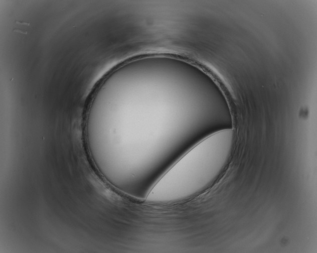 X0000101481460200807071231