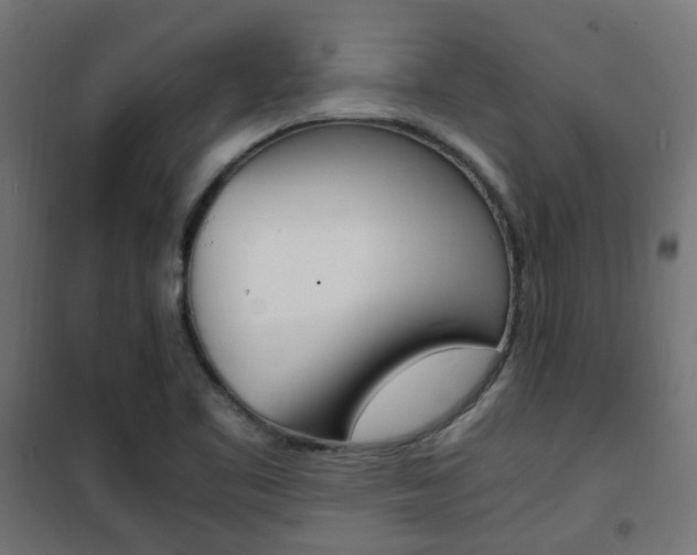 X0000101481461200807071231