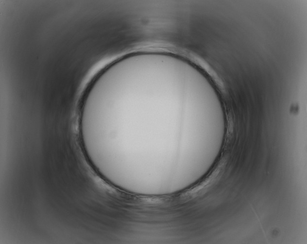 X0000101481462200807071231