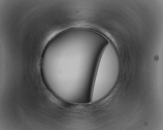 X0000101481463200807071231