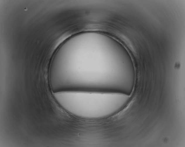 X0000101481465200807071231