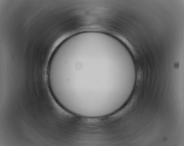 X0000101481466200807071231