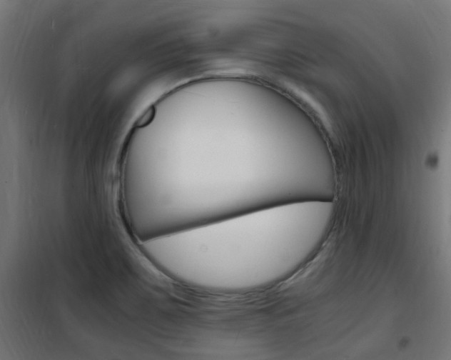 X0000101481467200807071231
