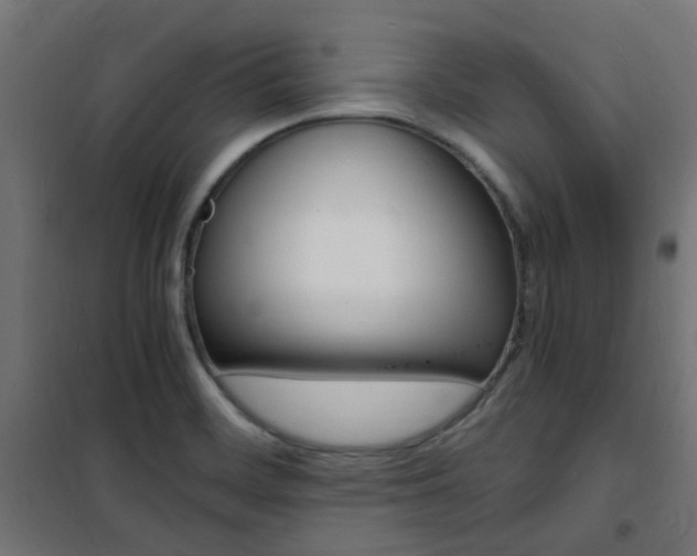 X0000101481468200807071231
