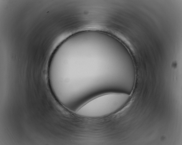 X0000101481469200807071231
