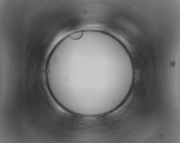 X0000101481470200807071231
