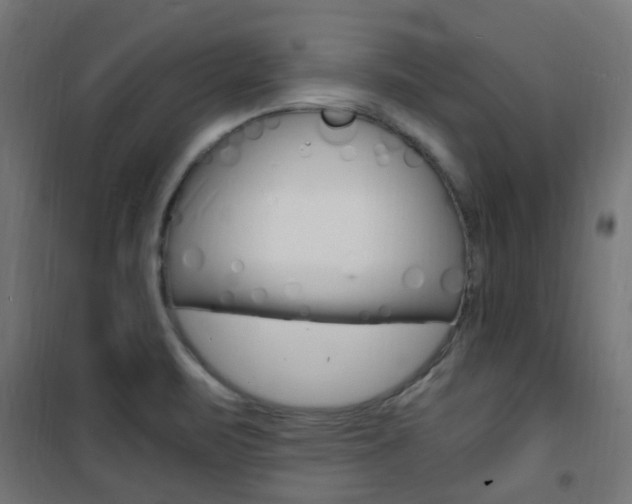 X0000101481471200807071231