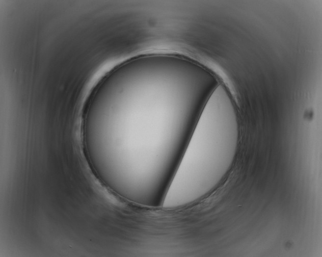 X0000101481472200807071231
