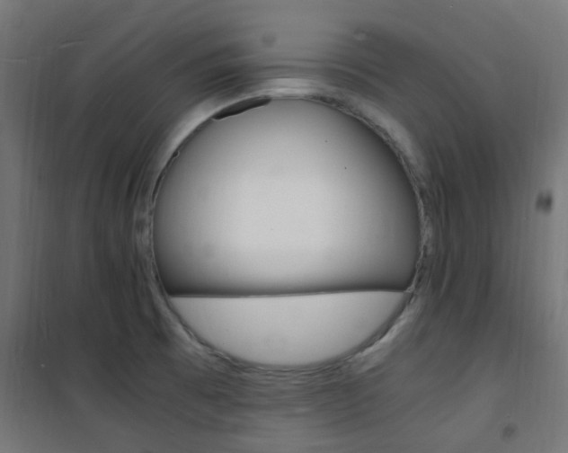 X0000101481473200807071231