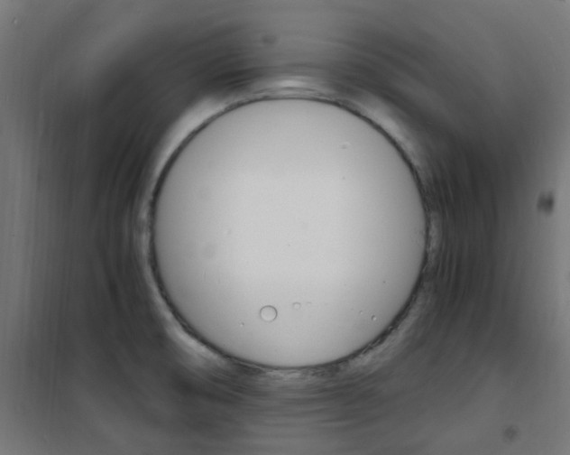 X0000101481474200807071231