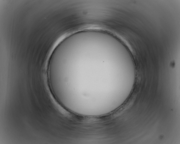 X0000101481475200807071231
