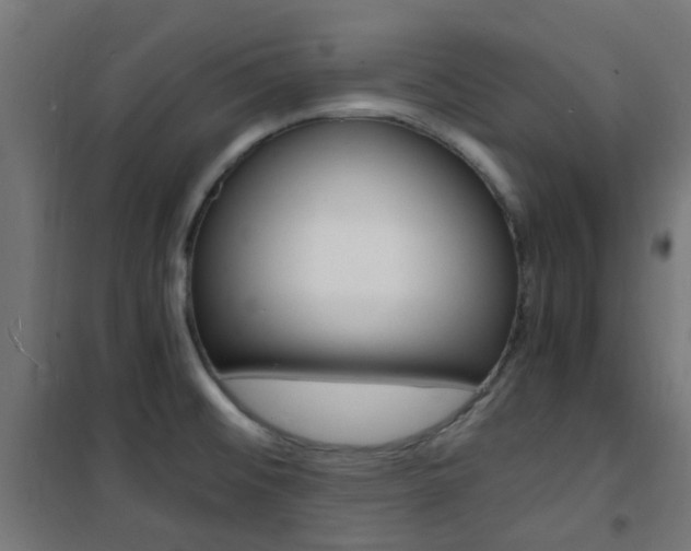 X0000101481476200807071231