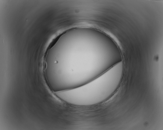 X0000101481477200807071231