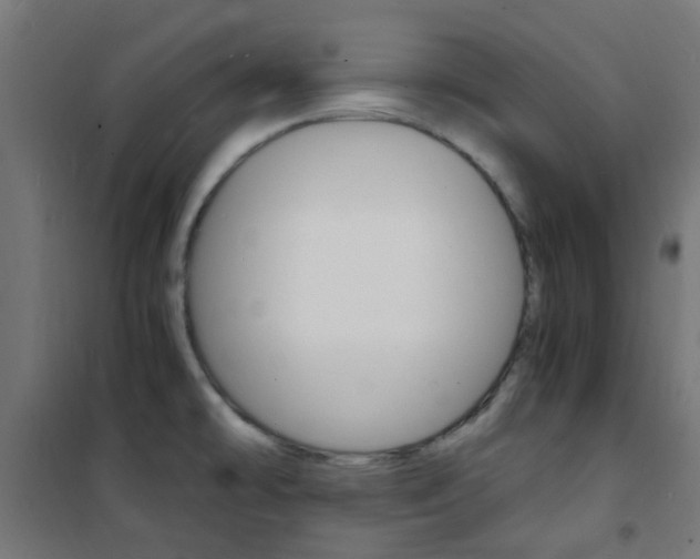 X0000101481478200807071231