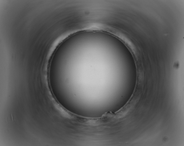 X0000101481480200807071231