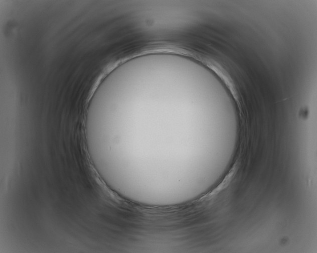 X0000101481481200807071231