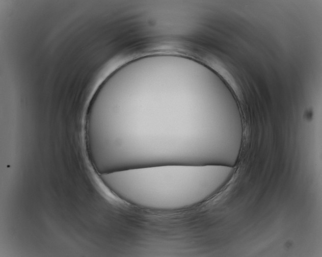 X0000101481482200807071231