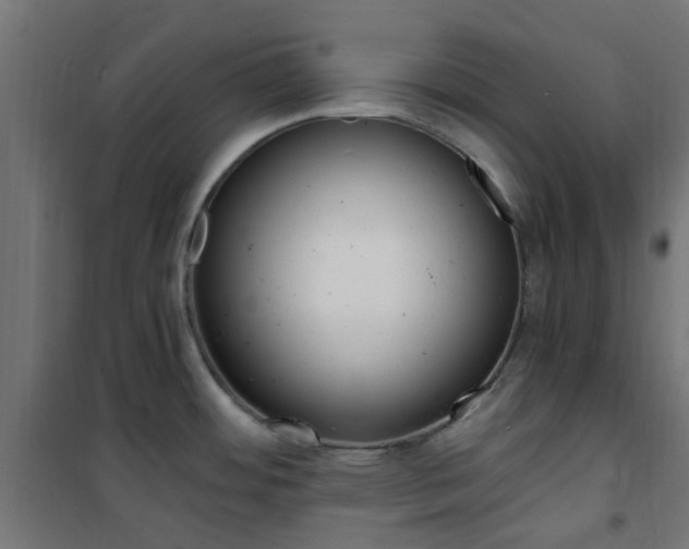 X0000101481484200807071231
