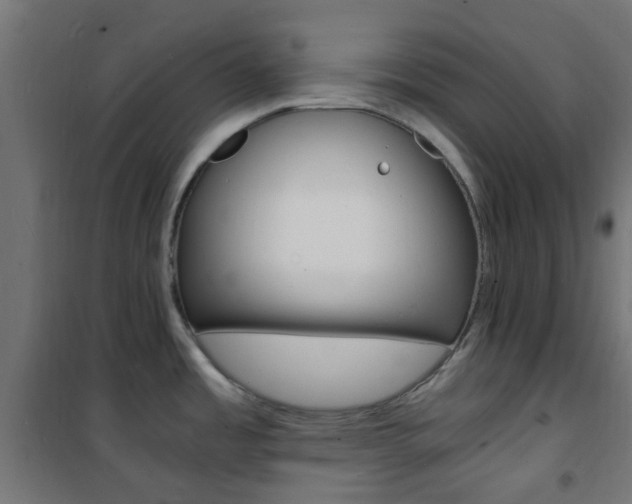 X0000101481485200807071231