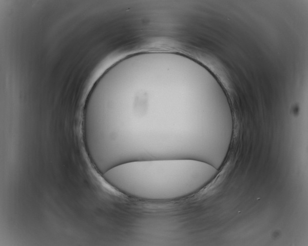 X0000101481486200807071231