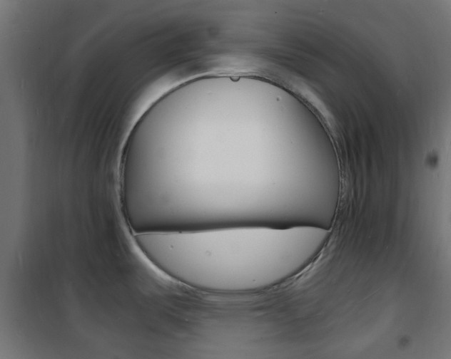 X0000101481487200807071231