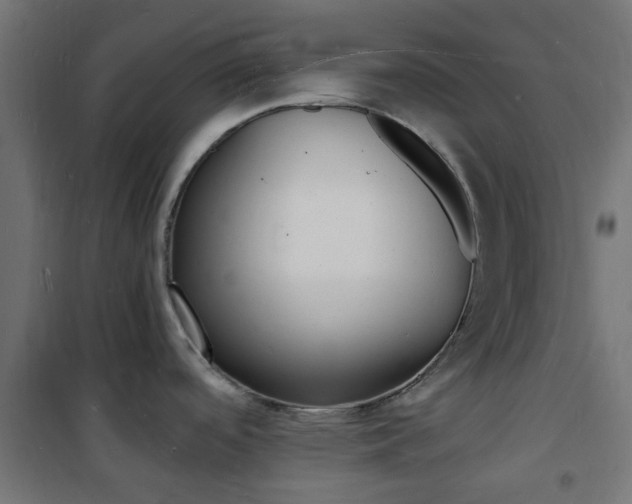 X0000101481488200807071231