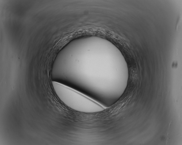 X0000101481489200807071230