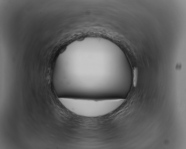 X0000101481491200807071230