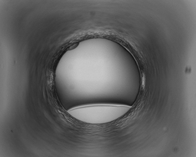 X0000101481492200807071230