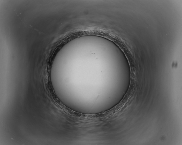 X0000101481493200807071230