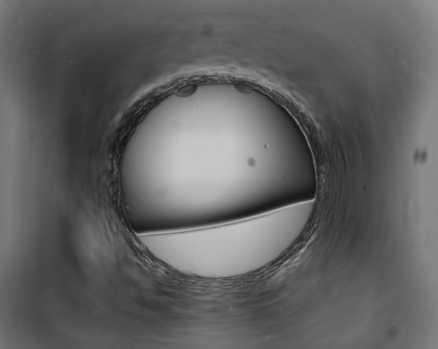 X0000101481494200807071230