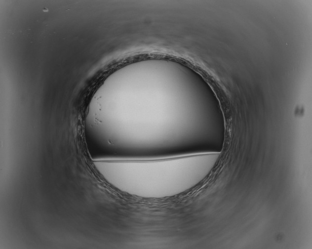 X0000101481495200807071230