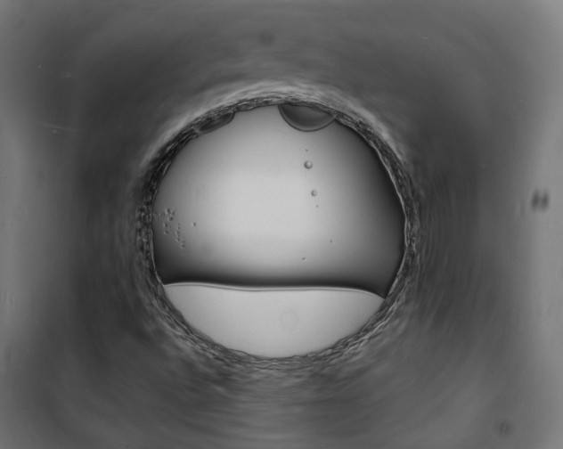 X0000101481496200807071230