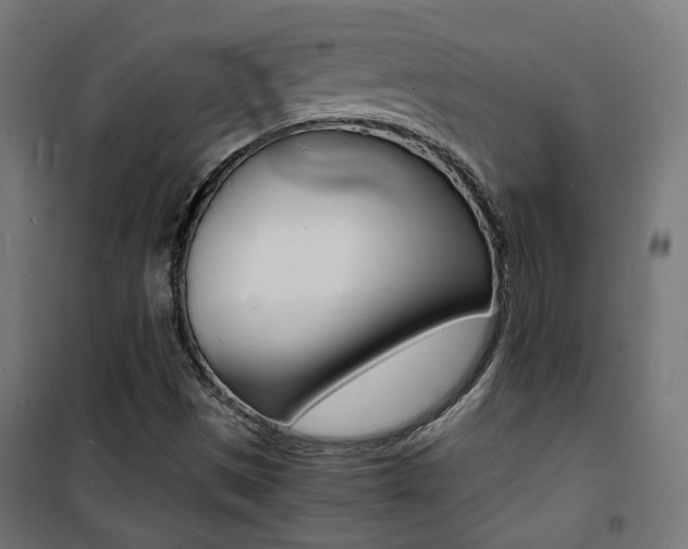 X0000101481497200807071230